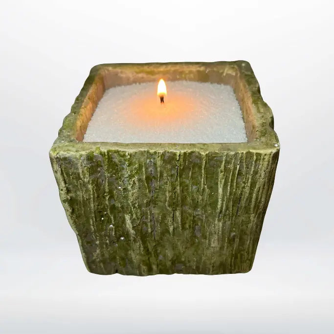 Vaso corteccia con Perle di Cera Bianche