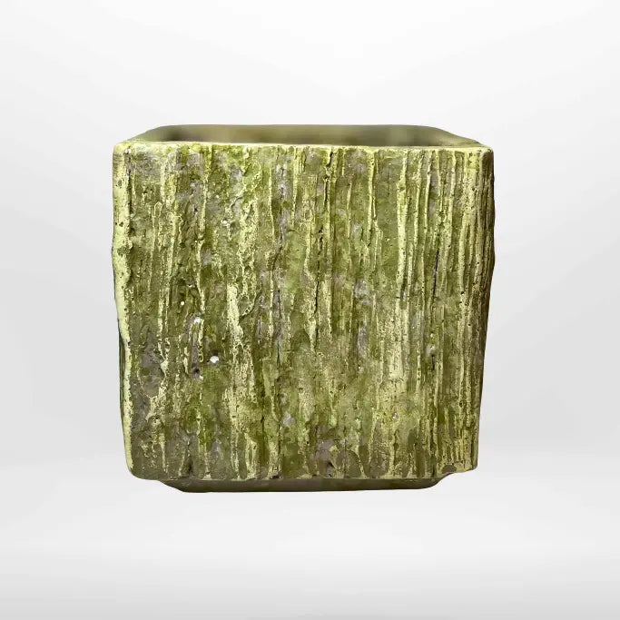 Vaso corteccia frontale